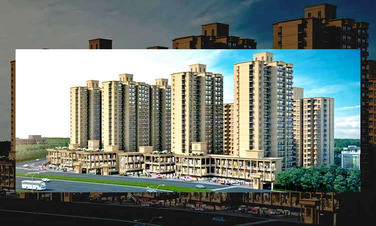 whiteland-blissville